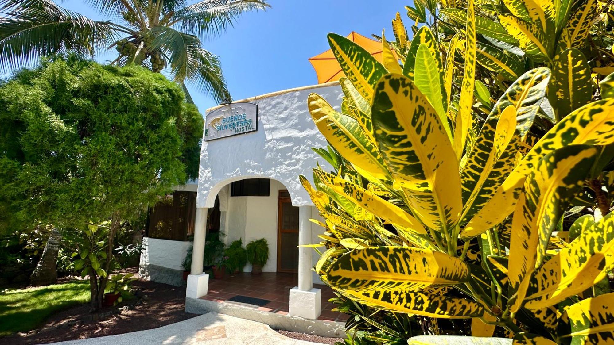 Hostal Suenos Silvestres Puerto Ayora  Dış mekan fotoğraf