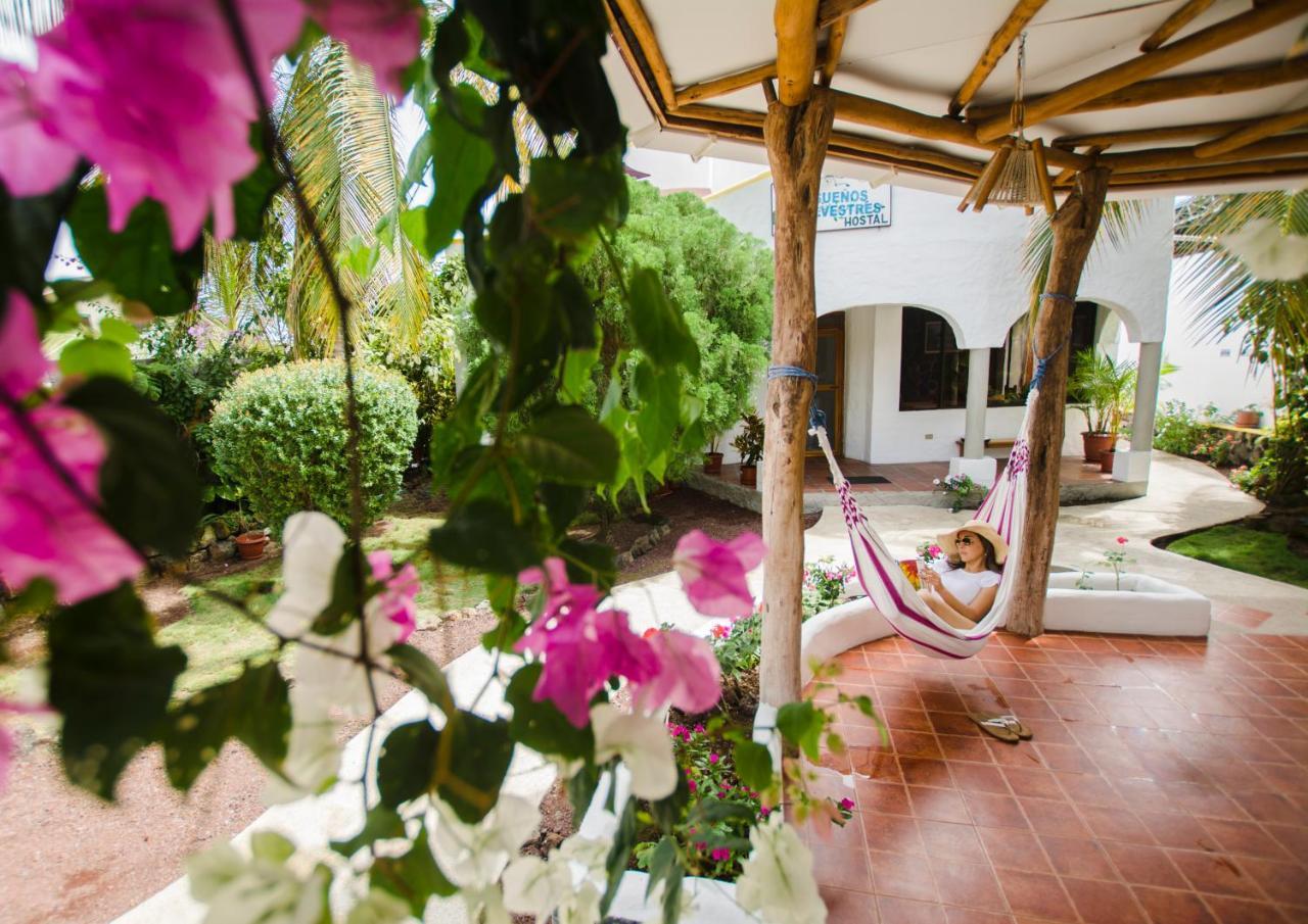 Hostal Suenos Silvestres Puerto Ayora  Dış mekan fotoğraf